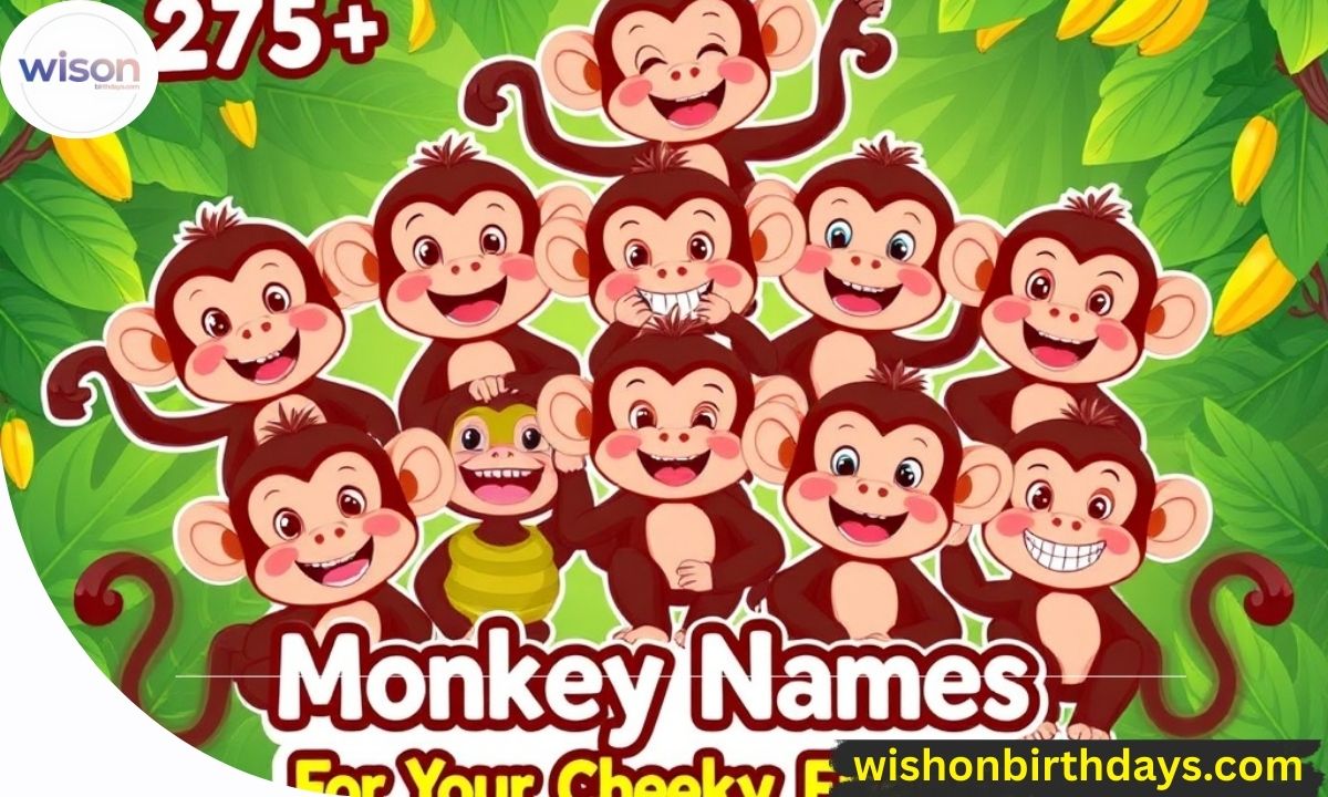 275+ Catchy Monkey Names For Your Cheeky Friend