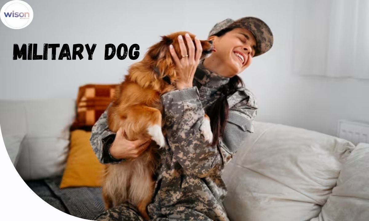 230+ Cool and Badass Military Dog Names