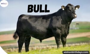 320+ Cool And Badass Bull Names (Strong, Fearless & Powerful Ideas)