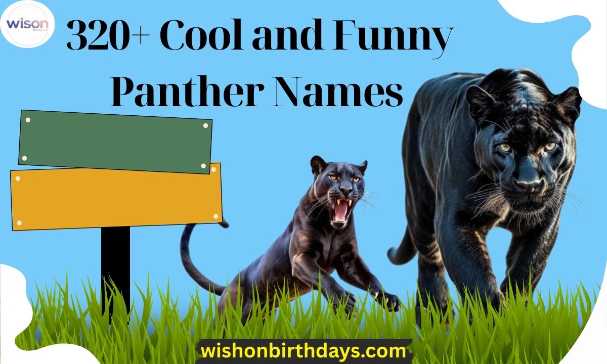 320+ Cool and Funny Panther Names – The Ultimate List for Your Sleek Black Beast