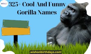325+ Cool And Funny Gorilla Names (Unique, Cute & Creative Ideas)