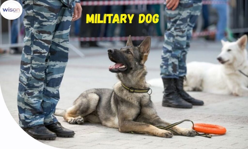 Short and Tough Names